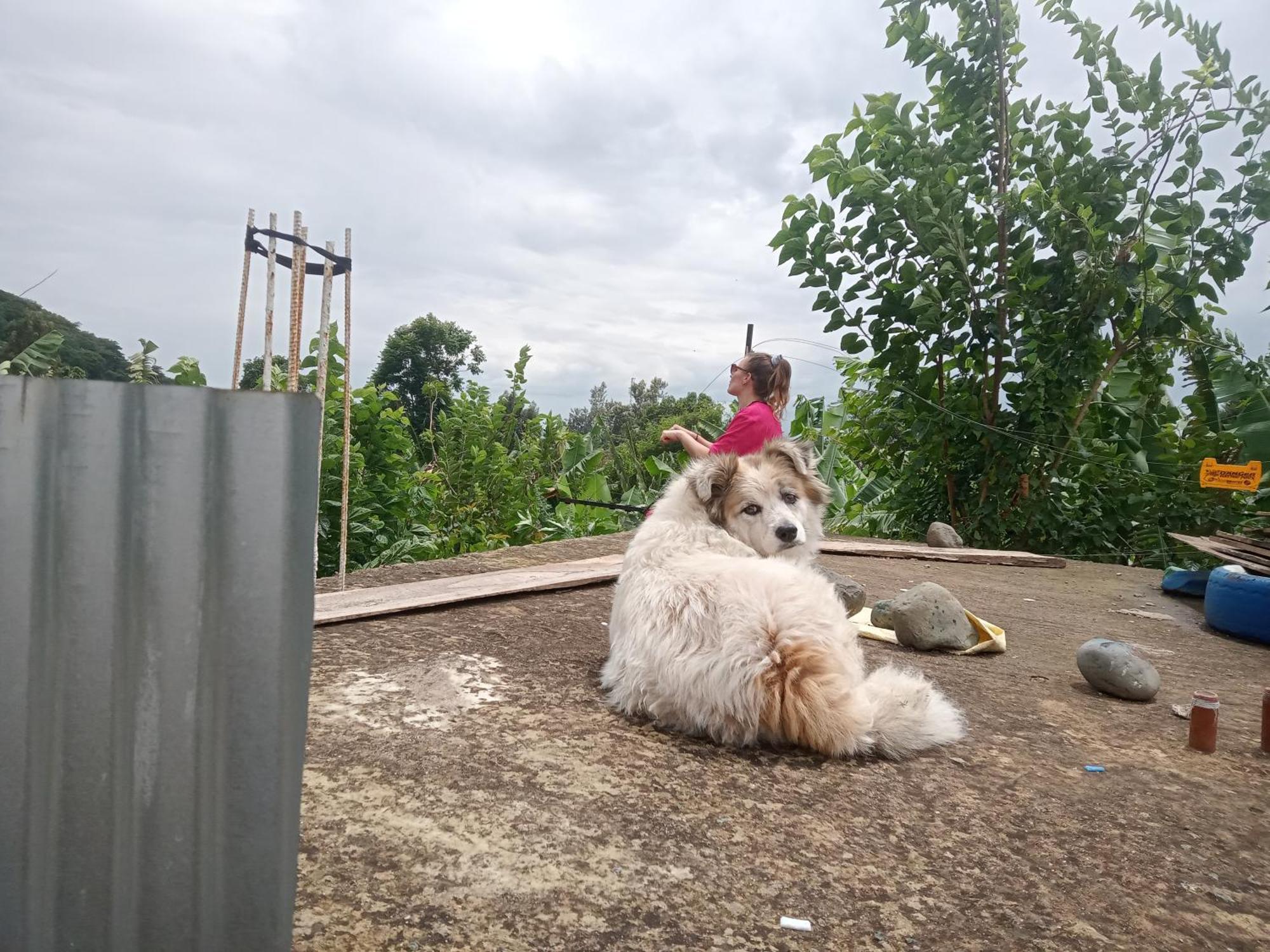 First Point Arusha Hostel ภายนอก รูปภาพ